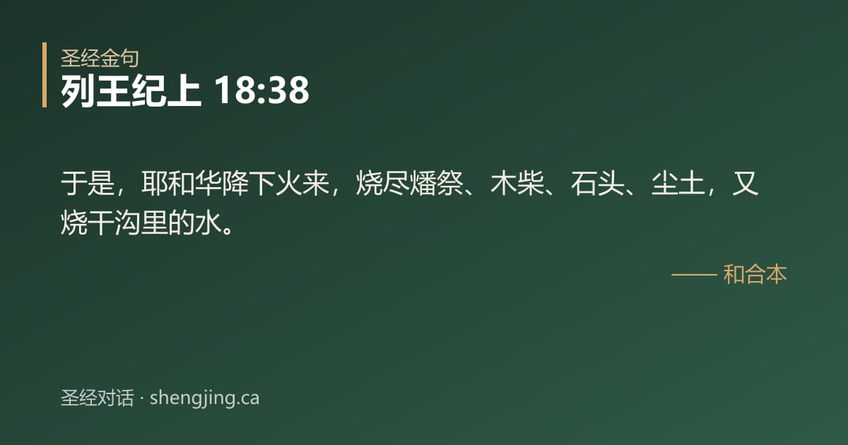 列王纪上 18:38 经文图片:于是，耶和华降下火来，烧尽燔祭、木柴、石头、尘土，又烧干沟里的水。