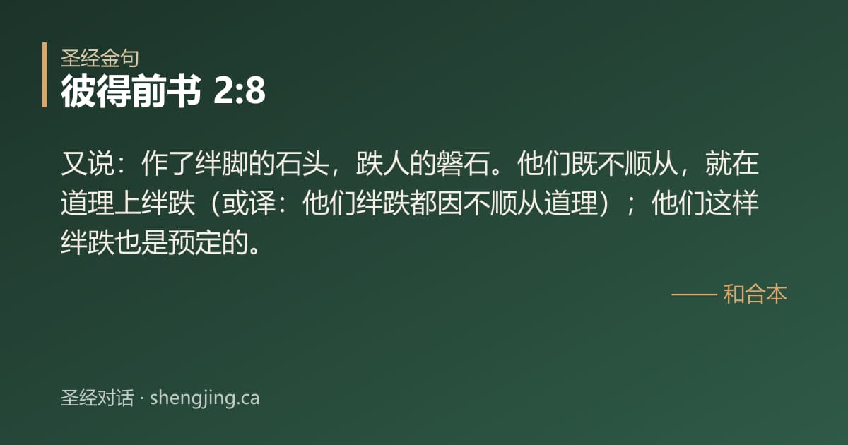 彼得前书 2:8 经文图片:又说：作了绊脚的石头，跌人的磐石。他们既不顺从，就在道理上绊跌（或译：他们绊跌都