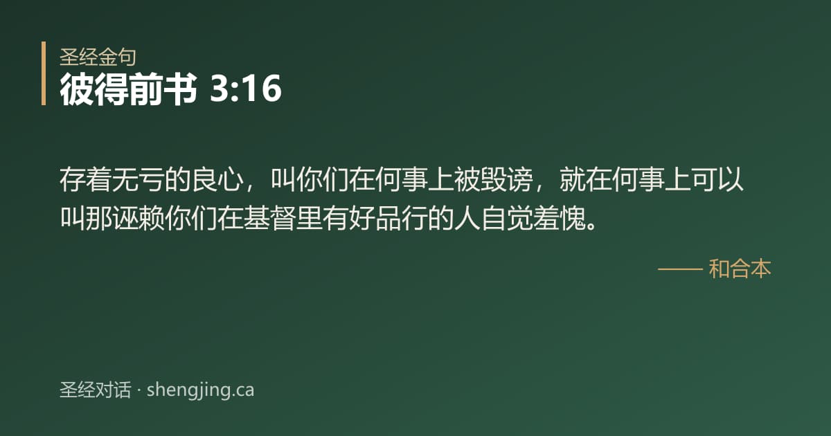 彼得前书 3:16 经文图片:存着无亏的良心，叫你们在何事上被毁谤，就在何事上可以叫那诬赖你们在基督里有好品行