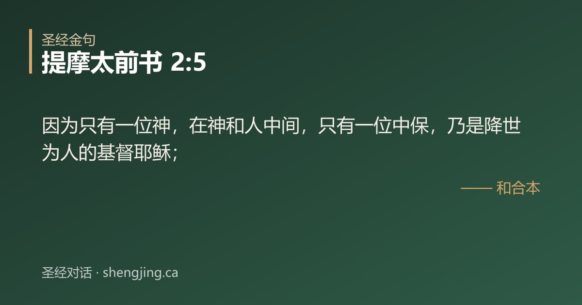 提摩太前书 2:5 经文图片:因为只有一位神，在神和人中间，只有一位中保，乃是降世为人的基督耶稣；