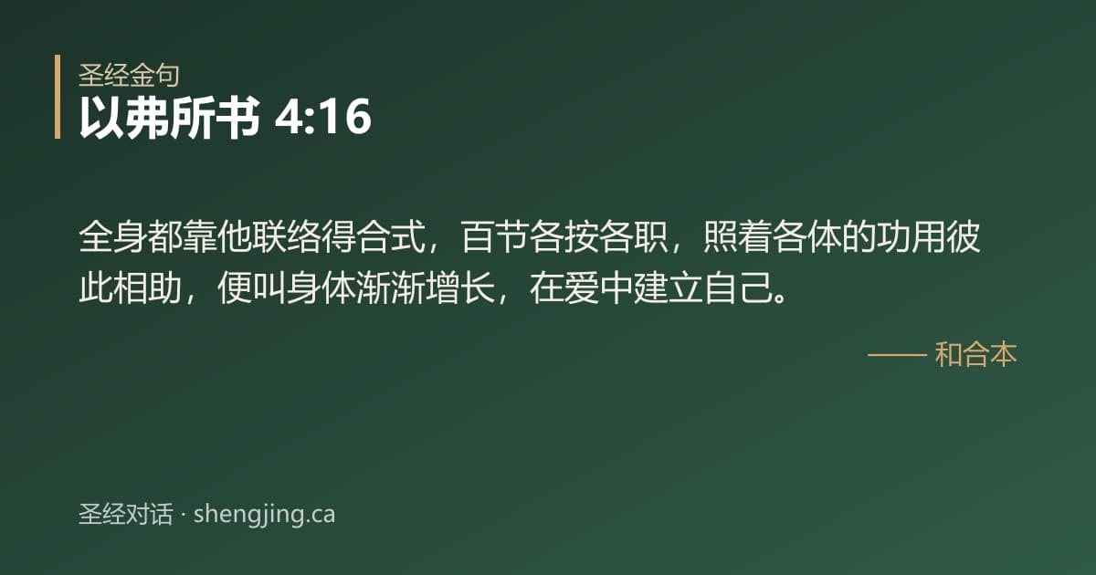 以弗所书 4:16 经文图片:全身都靠他联络得合式，百节各按各职，照着各体的功用彼此相助，便叫身体渐渐增长，在