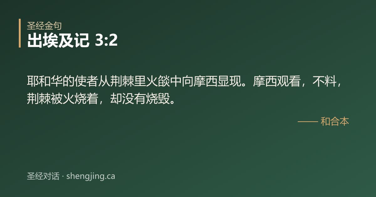 出埃及记 3:2 经文图片:耶和华的使者从荆棘里火燄中向摩西显现。摩西观看，不料，荆棘被火烧着，却没有烧毁。
