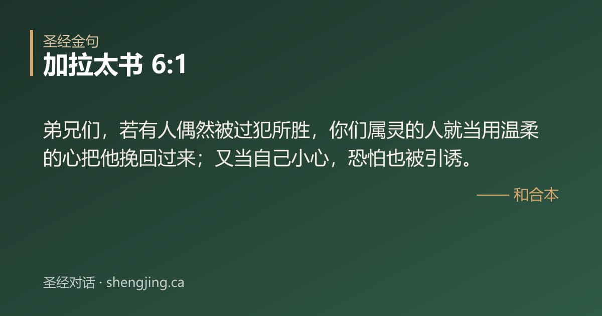 加拉太书 6:1 经文图片:弟兄们，若有人偶然被过犯所胜，你们属灵的人就当用温柔的心把他挽回过来；又当自己小