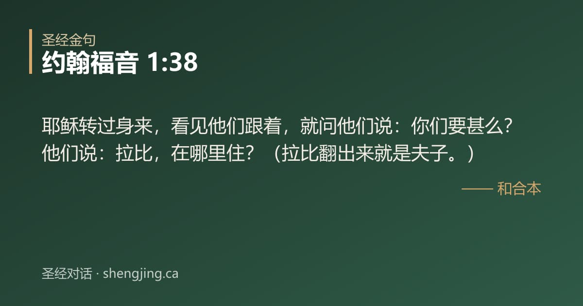 约翰福音 1:38 经文图片:耶稣转过身来，看见他们跟着，就问他们说：你们要甚么？他们说：拉比，在哪里住？（拉