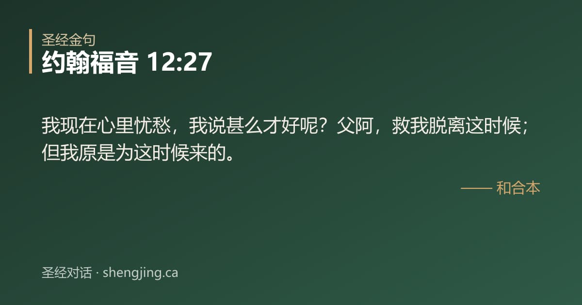 约翰福音 12:27 经文图片:我现在心里忧愁，我说甚么才好呢？父阿，救我脱离这时候；但我原是为这时候来的。