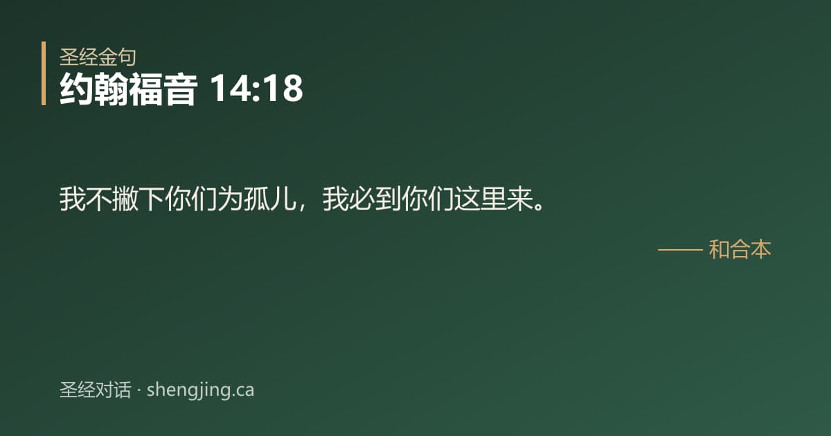 约翰福音 14:18 经文图片:我不撇下你们为孤儿，我必到你们这里来。
