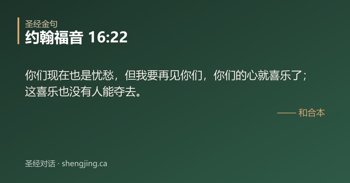 约翰福音 16:22 经文图片:你们现在也是忧愁，但我要再见你们，你们的心就喜乐了；这喜乐也没有人能夺去。