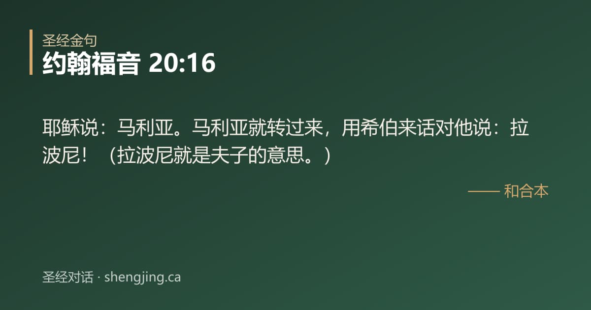约翰福音 20:16 经文图片:耶稣说：马利亚。马利亚就转过来，用希伯来话对他说：拉波尼！（拉波尼就是夫子的意思
