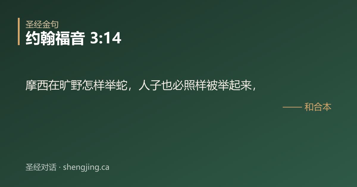 约翰福音 3:14 经文图片:摩西在旷野怎样举蛇，人子也必照样被举起来，