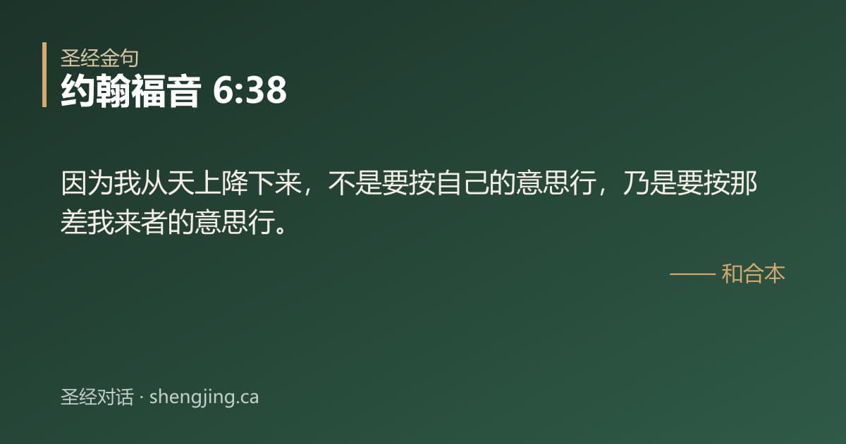 约翰福音 6:38 经文图片:因为我从天上降下来，不是要按自己的意思行，乃是要按那差我来者的意思行。