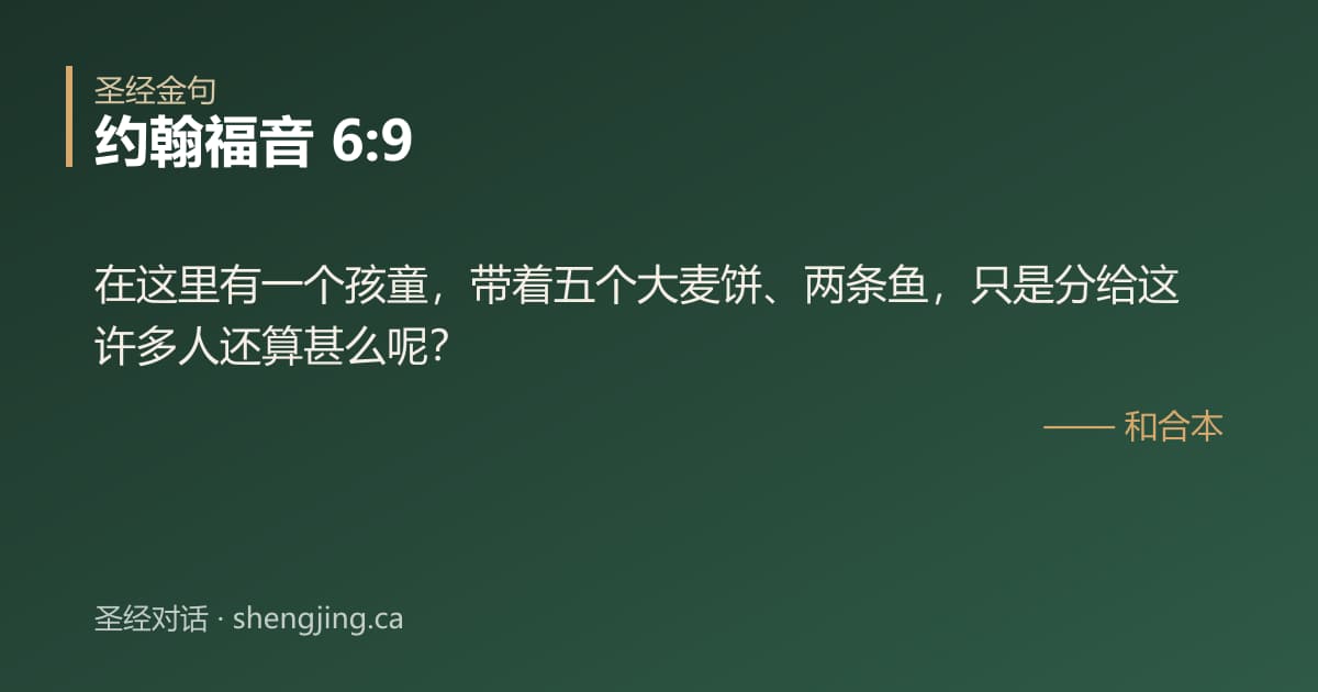 约翰福音 6:9 经文图片:在这里有一个孩童，带着五个大麦饼、两条鱼，只是分给这许多人还算甚么呢？