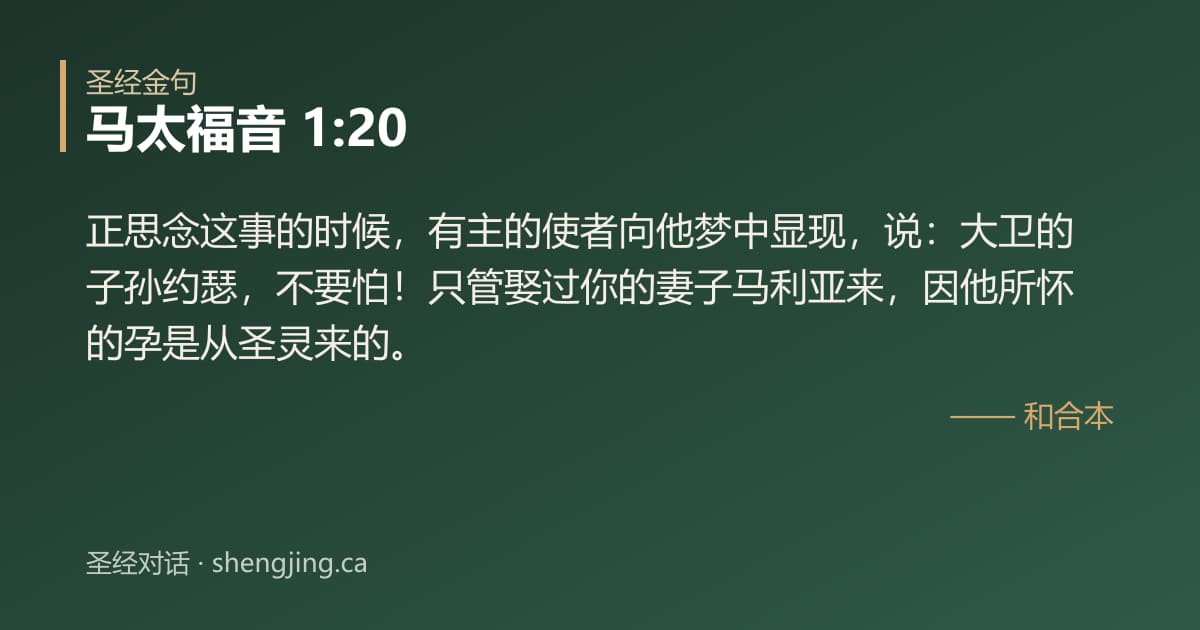 马太福音 1:20 经文图片:正思念这事的时候，有主的使者向他梦中显现，说：大卫的子孙约瑟，不要怕！只管娶过你