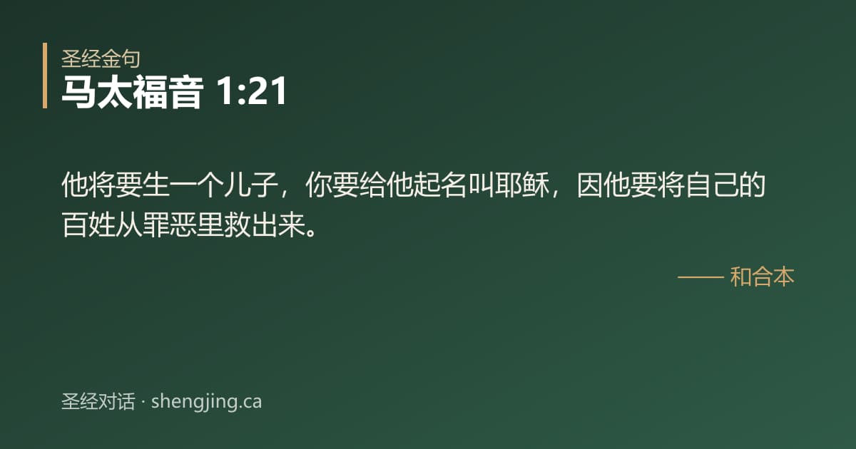 马太福音 1:21 经文图片:他将要生一个儿子，你要给他起名叫耶稣，因他要将自己的百姓从罪恶里救出来。