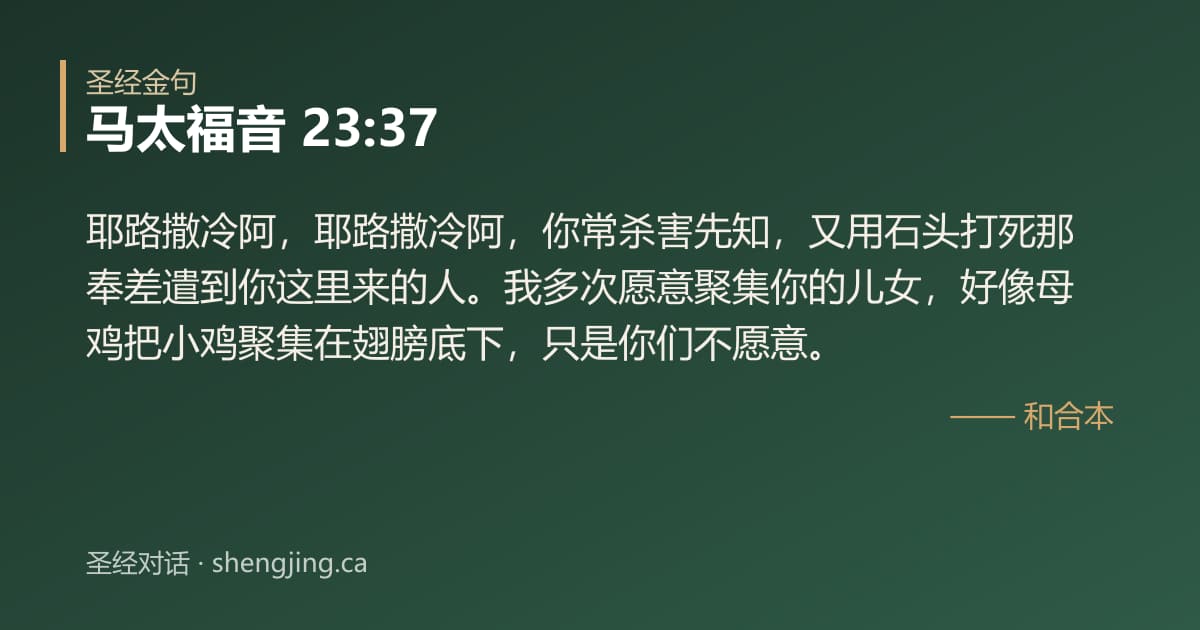 马太福音 23:37 经文图片:耶路撒冷阿，耶路撒冷阿，你常杀害先知，又用石头打死那奉差遣到你这里来的人。我多次