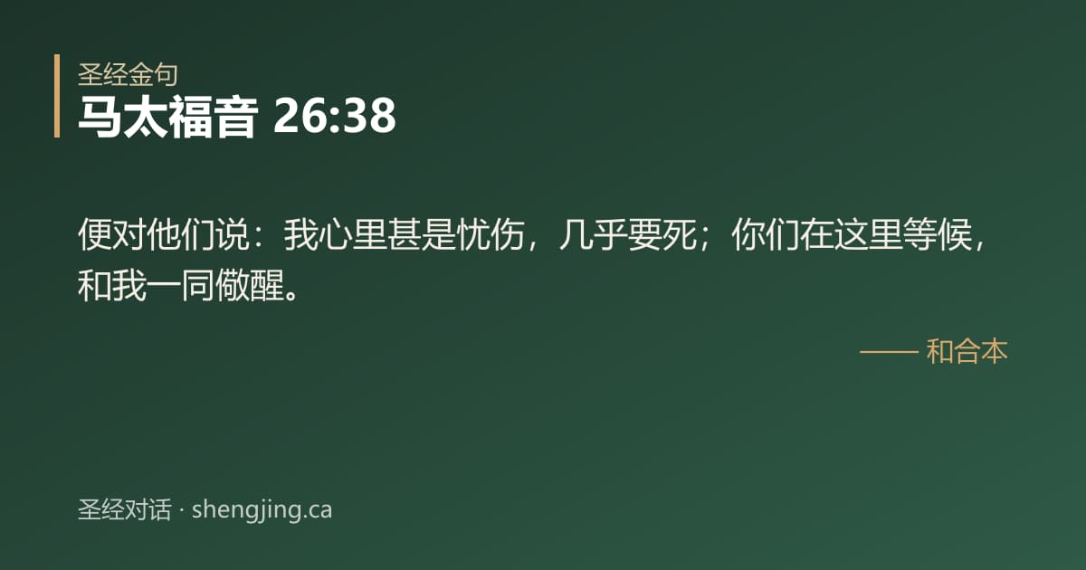 马太福音 26:38 经文图片:便对他们说：我心里甚是忧伤，几乎要死；你们在这里等候，和我一同儆醒。