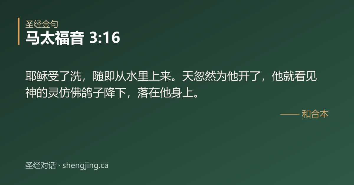 马太福音 3:16 经文图片:耶稣受了洗，随即从水里上来。天忽然为他开了，他就看见神的灵仿佛鸽子降下，落在他身