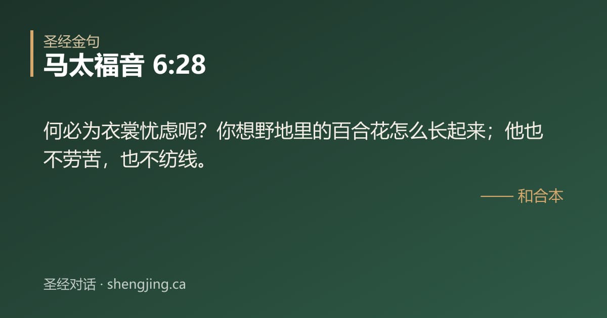 马太福音 6:28 经文图片:何必为衣裳忧虑呢？你想野地里的百合花怎么长起来；他也不劳苦，也不纺线。