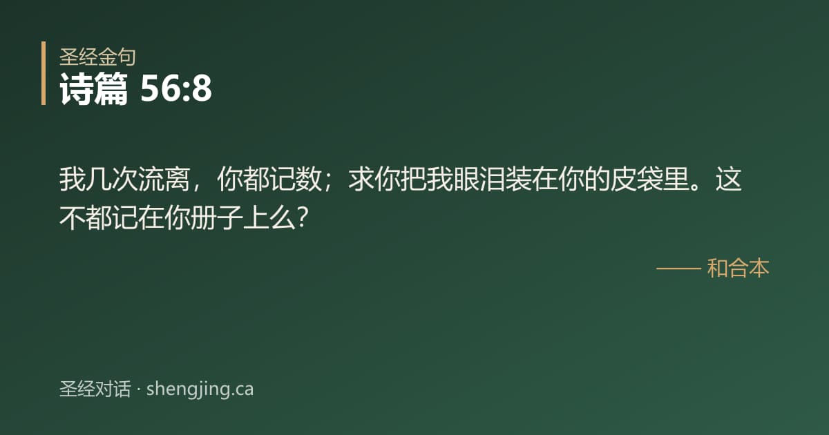 诗篇 56:8 经文图片:我几次流离，你都记数；求你把我眼泪装在你的皮袋里。这不都记在你册子上么？