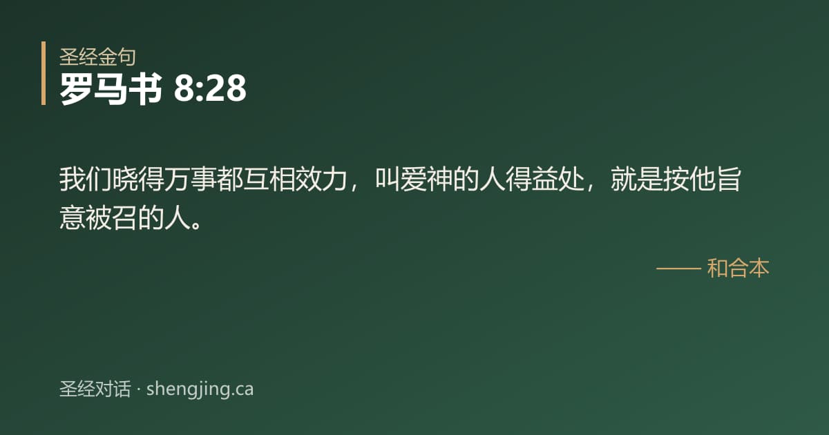 罗马书 8:28 经文图片:我们晓得万事都互相效力，叫爱神的人得益处，就是按他旨意被召的人。