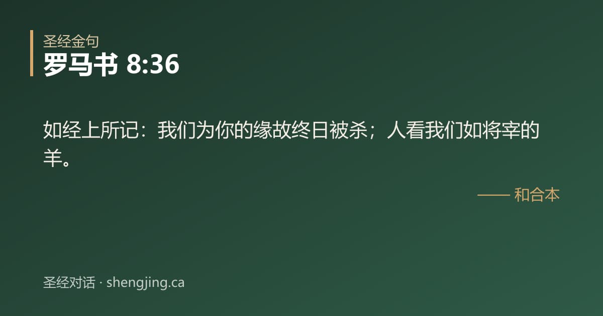 罗马书 8:36 经文图片:如经上所记：我们为你的缘故终日被杀；人看我们如将宰的羊。