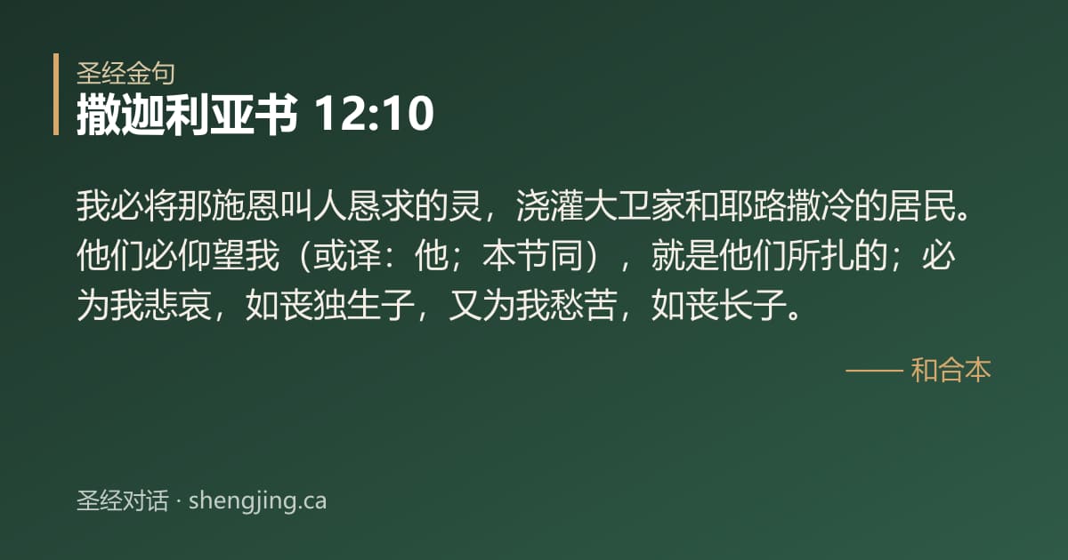 撒迦利亚书 12:10 经文图片:我必将那施恩叫人恳求的灵，浇灌大卫家和耶路撒冷的居民。他们必仰望我（或译：他；本