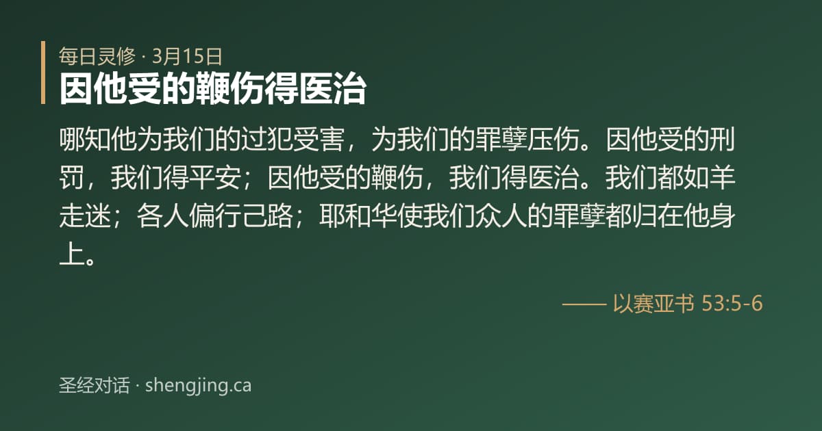 3月15日 每日灵修经文图片:因他受的鞭伤得医治(以赛亚书 53:5-6)