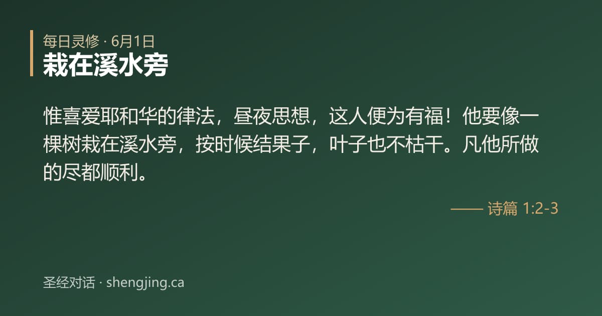 6月1日 每日灵修经文图片:栽在溪水旁(诗篇 1:2-3)