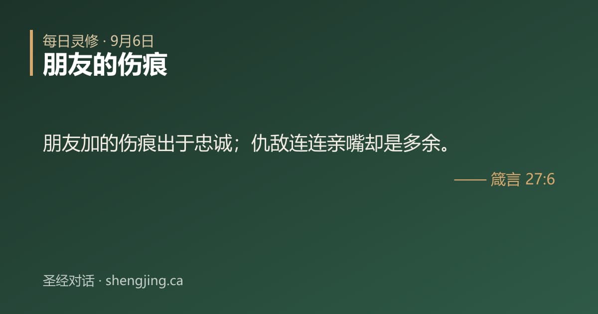 9月6日 每日灵修经文图片:朋友的伤痕(箴言 27:6)