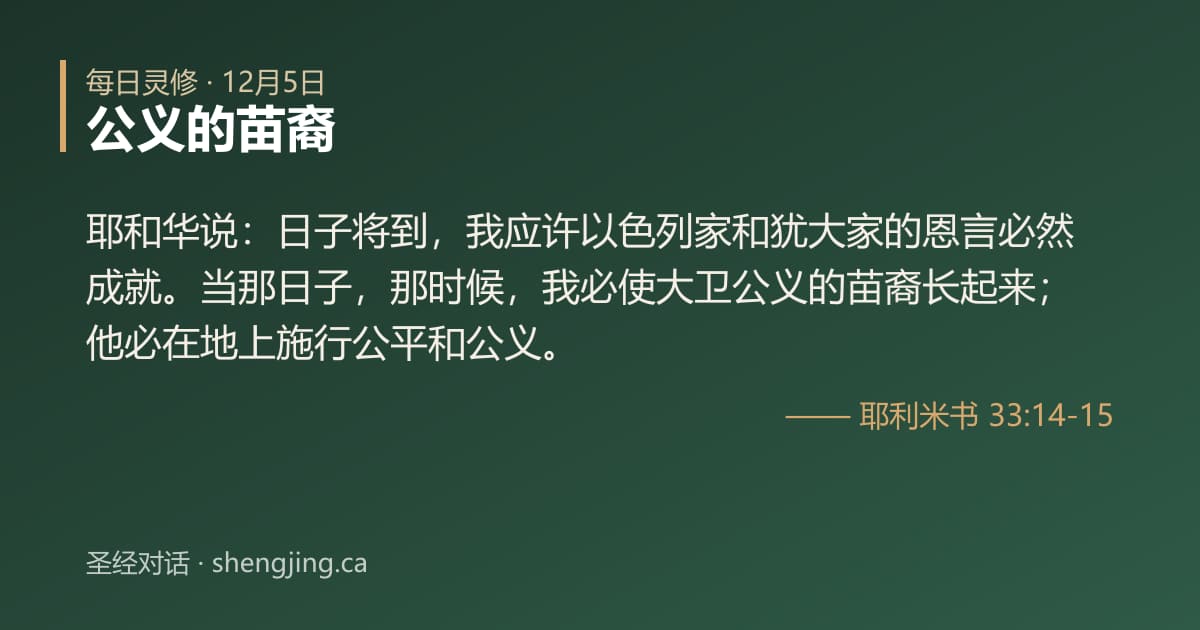 12月5日 每日灵修经文图片:公义的苗裔(耶利米书 33:14-15)