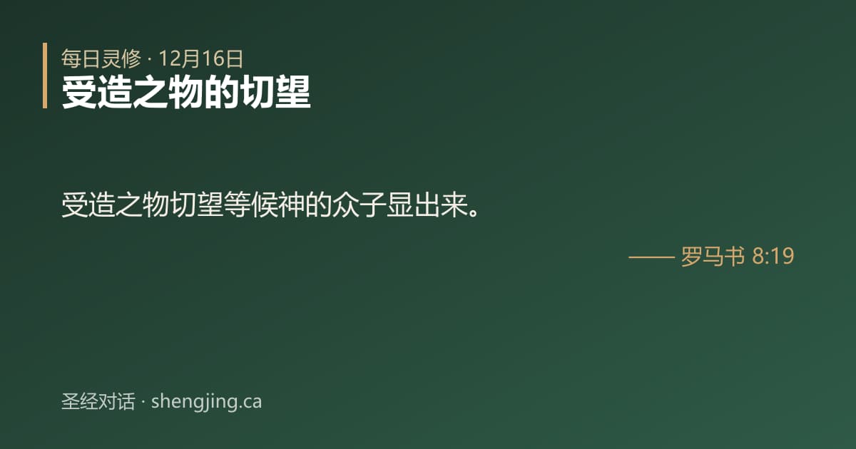 12月16日 每日灵修经文图片:受造之物的切望(罗马书 8:19)