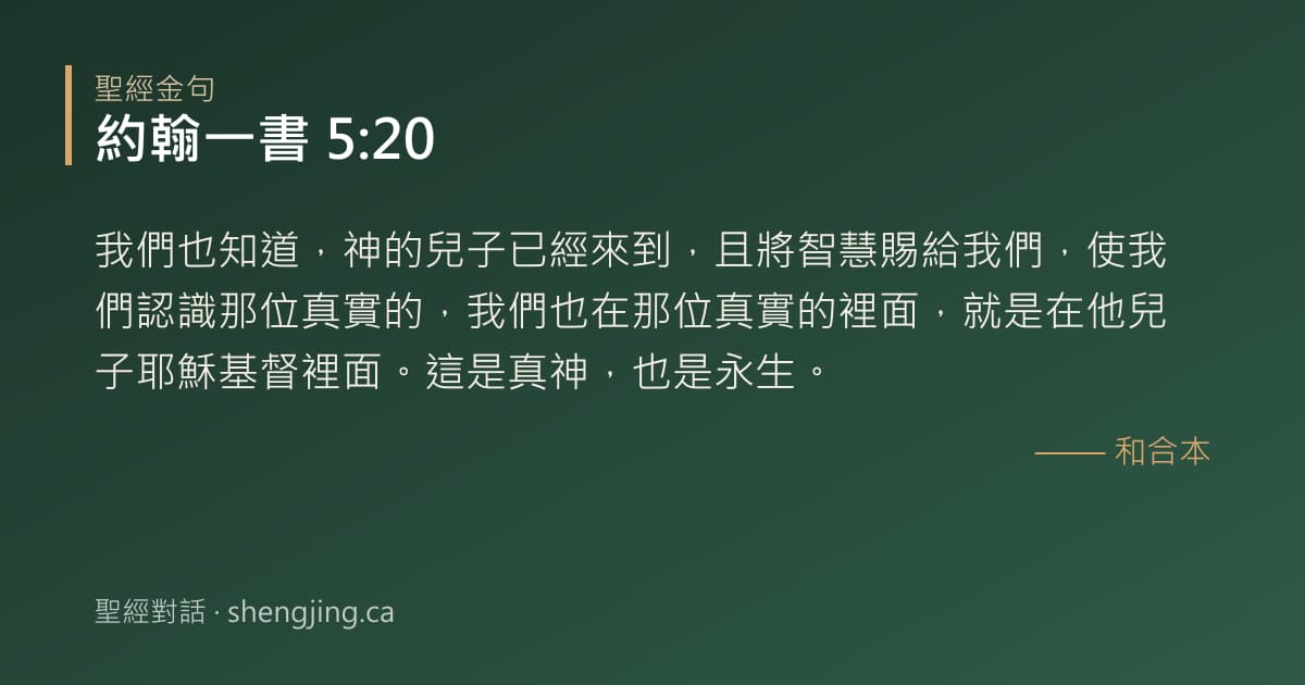 約翰一書 5:20 經文圖片:我們也知道，神的兒子已經來到，且將智慧賜給我們，使我們認識那位真實的，我們也在那