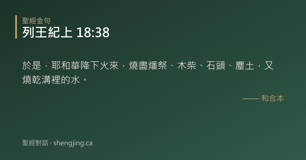 列王紀上 18:38 經文圖片:於是，耶和華降下火來，燒盡燔祭、木柴、石頭、塵土，又燒乾溝裡的水。