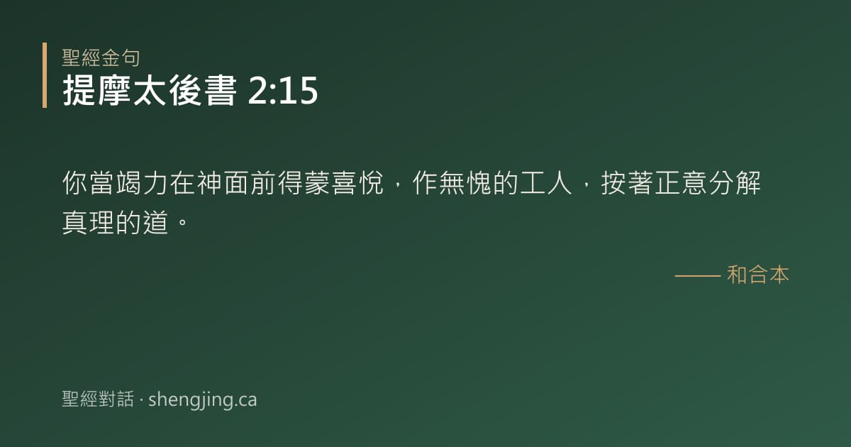 提摩太後書 2:15 經文圖片:你當竭力在神面前得蒙喜悅，作無愧的工人，按著正意分解真理的道。