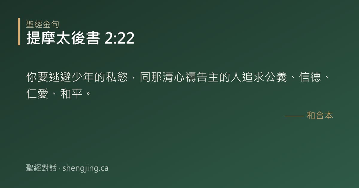 提摩太後書 2:22 經文圖片:你要逃避少年的私慾，同那清心禱告主的人追求公義、信德、仁愛、和平。