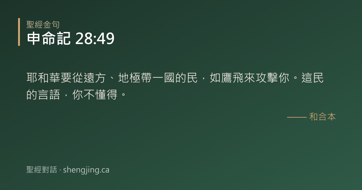 申命記 28:49 經文圖片:耶和華要從遠方、地極帶一國的民，如鷹飛來攻擊你。這民的言語，你不懂得。