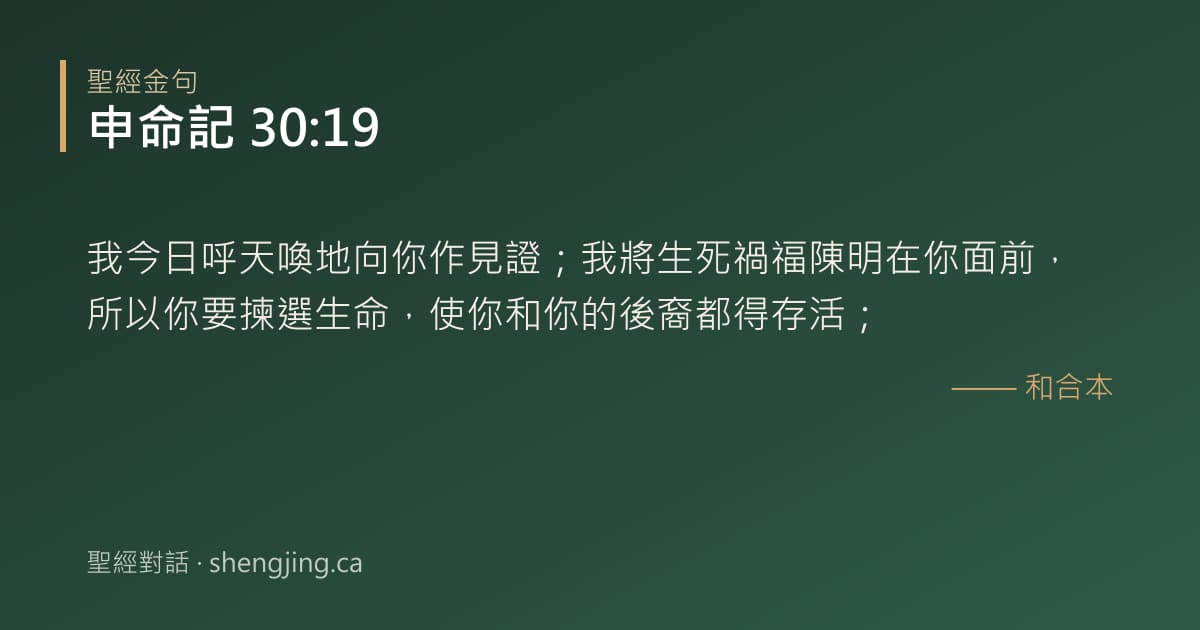申命記 30:19 經文圖片:我今日呼天喚地向你作見證；我將生死禍福陳明在你面前，所以你要揀選生命，使你和你的