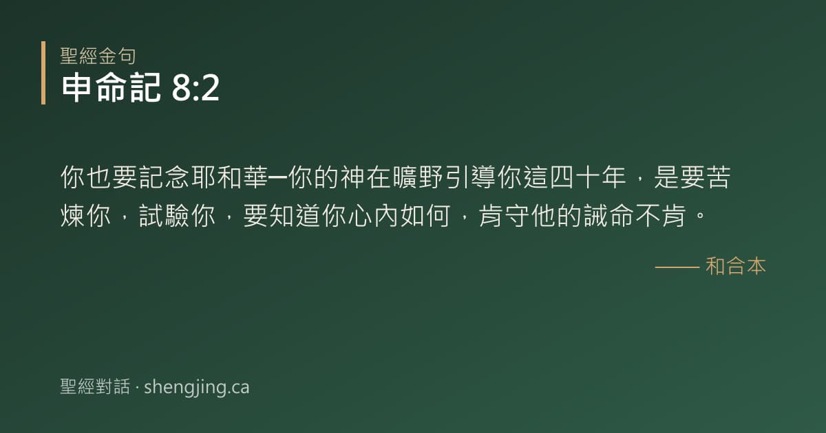 申命記 8:2 經文圖片:你也要記念耶和華─你的神在曠野引導你這四十年，是要苦煉你，試驗你，要知道你心內如