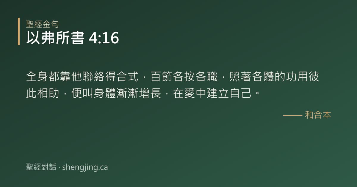 以弗所書 4:16 經文圖片:全身都靠他聯絡得合式，百節各按各職，照著各體的功用彼此相助，便叫身體漸漸增長，在