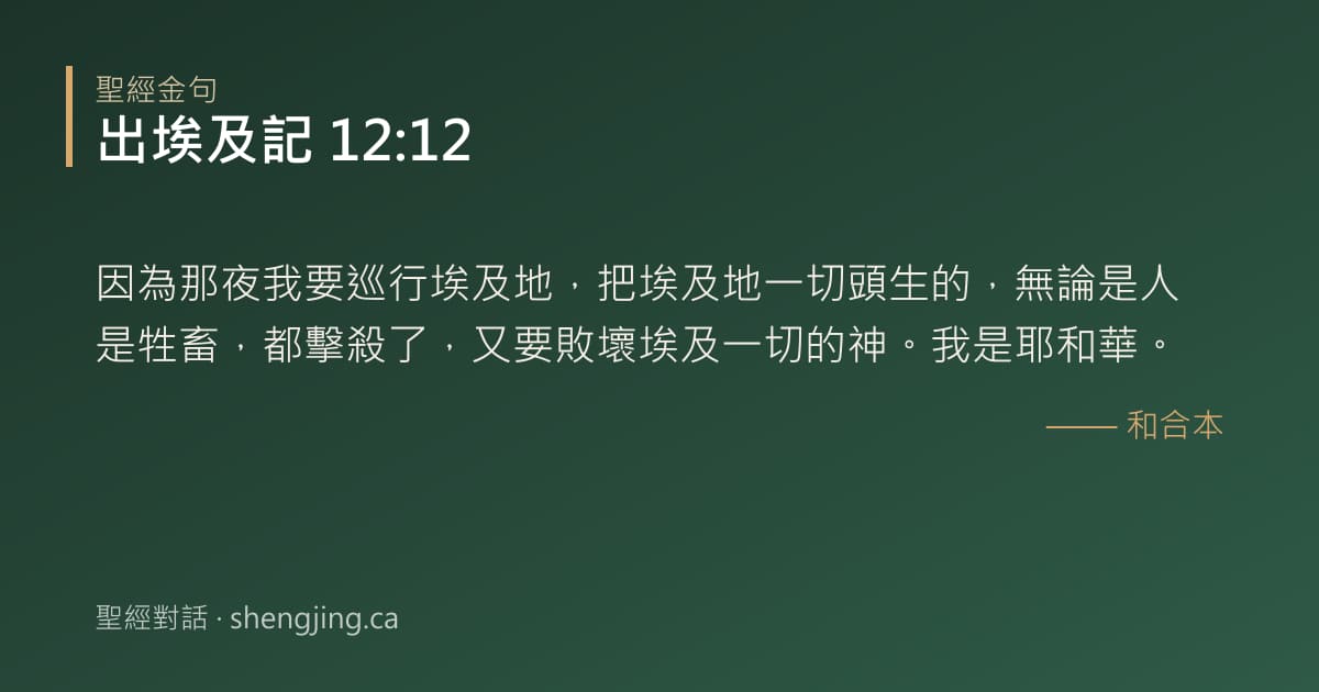 出埃及記 12:12 經文圖片:因為那夜我要巡行埃及地，把埃及地一切頭生的，無論是人是牲畜，都擊殺了，又要敗壞埃