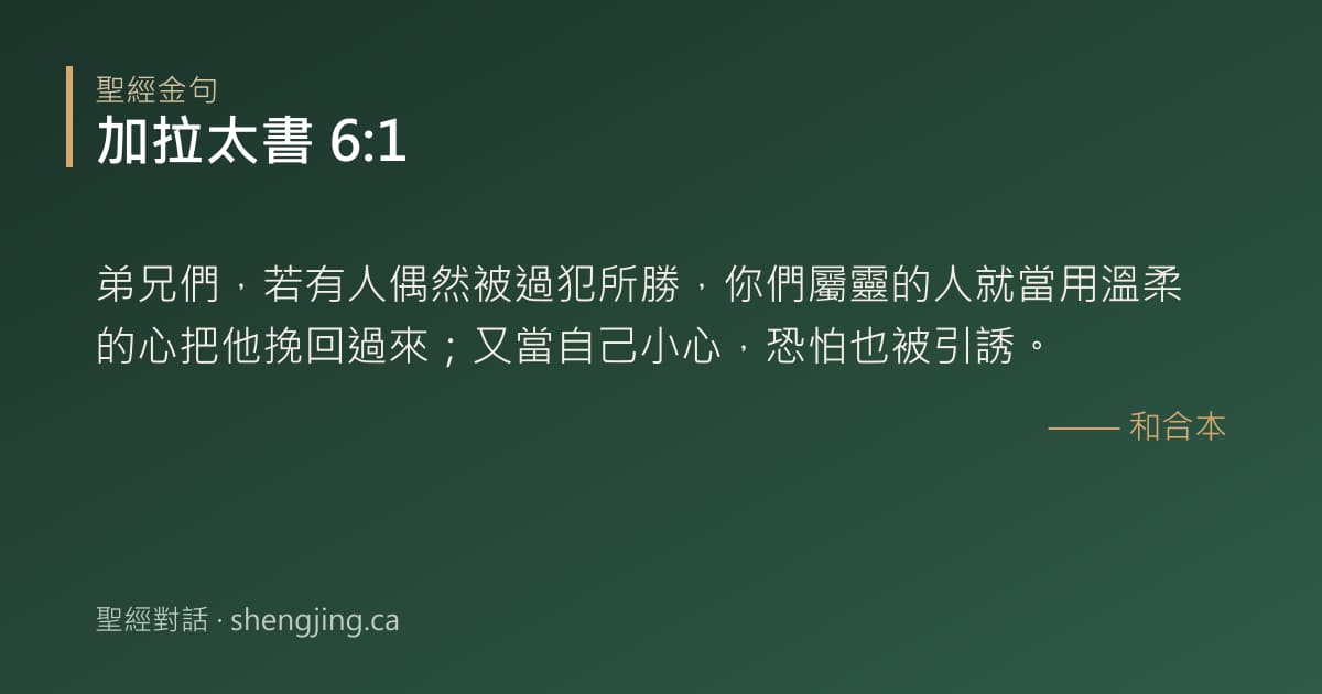 加拉太書 6:1 經文圖片:弟兄們，若有人偶然被過犯所勝，你們屬靈的人就當用溫柔的心把他挽回過來；又當自己小