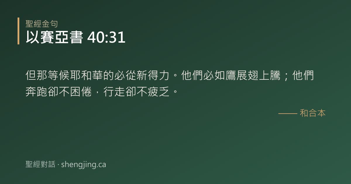 以賽亞書 40:31 經文圖片:但那等候耶和華的必從新得力。他們必如鷹展翅上騰；他們奔跑卻不困倦，行走卻不疲乏。