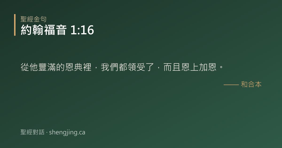 約翰福音 1:16 經文圖片:從他豐滿的恩典裡，我們都領受了，而且恩上加恩。