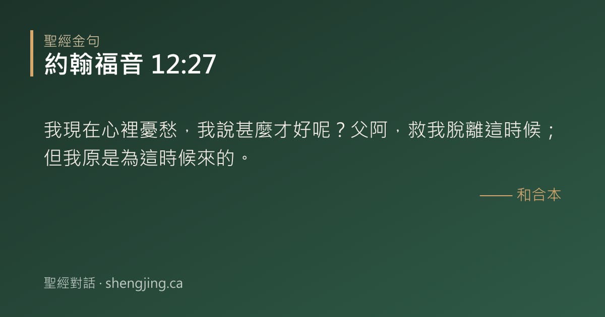 約翰福音 12:27 經文圖片:我現在心裡憂愁，我說甚麼才好呢？父阿，救我脫離這時候；但我原是為這時候來的。