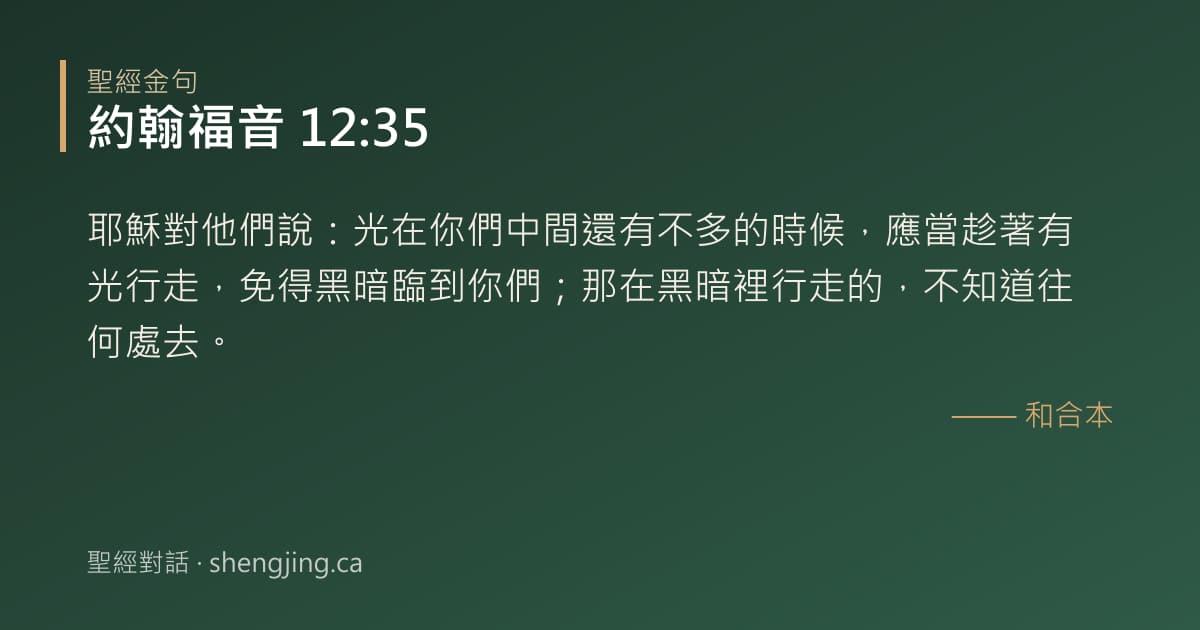約翰福音 12:35 經文圖片:耶穌對他們說：光在你們中間還有不多的時候，應當趁著有光行走，免得黑暗臨到你們；那