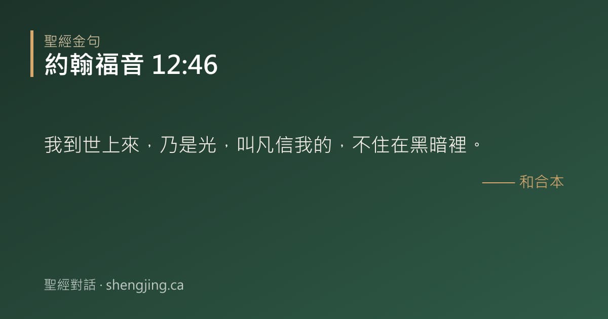 約翰福音 12:46 經文圖片:我到世上來，乃是光，叫凡信我的，不住在黑暗裡。
