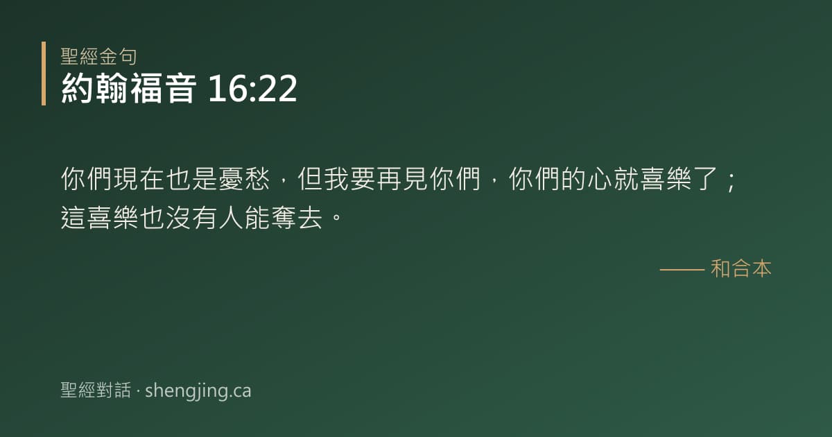約翰福音 16:22 經文圖片:你們現在也是憂愁，但我要再見你們，你們的心就喜樂了；這喜樂也沒有人能奪去。