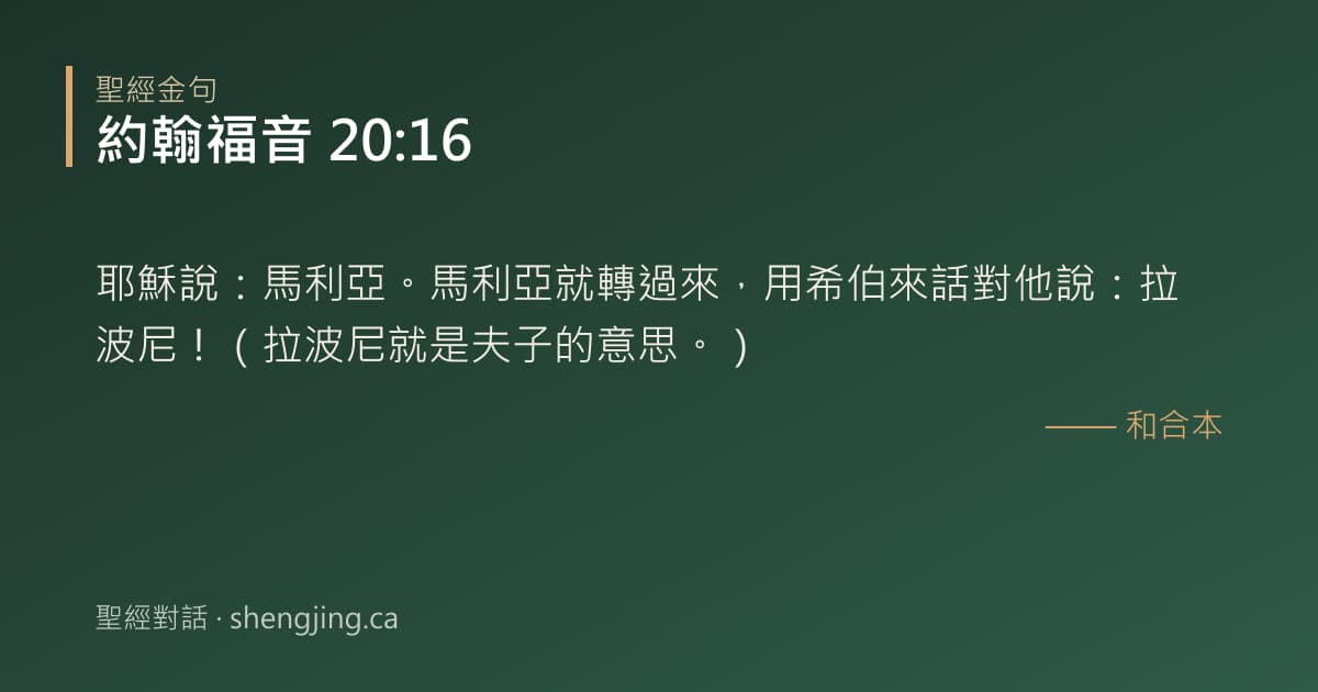 約翰福音 20:16 經文圖片:耶穌說：馬利亞。馬利亞就轉過來，用希伯來話對他說：拉波尼！（拉波尼就是夫子的意思