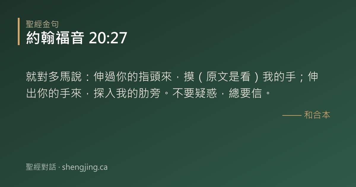 約翰福音 20:27 經文圖片:就對多馬說：伸過你的指頭來，摸（原文是看）我的手；伸出你的手來，探入我的肋旁。不