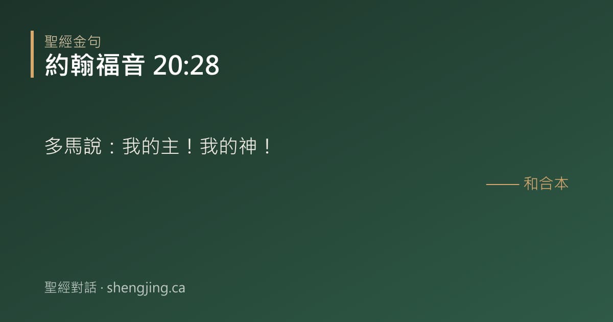 約翰福音 20:28 經文圖片:多馬說：我的主！我的神！