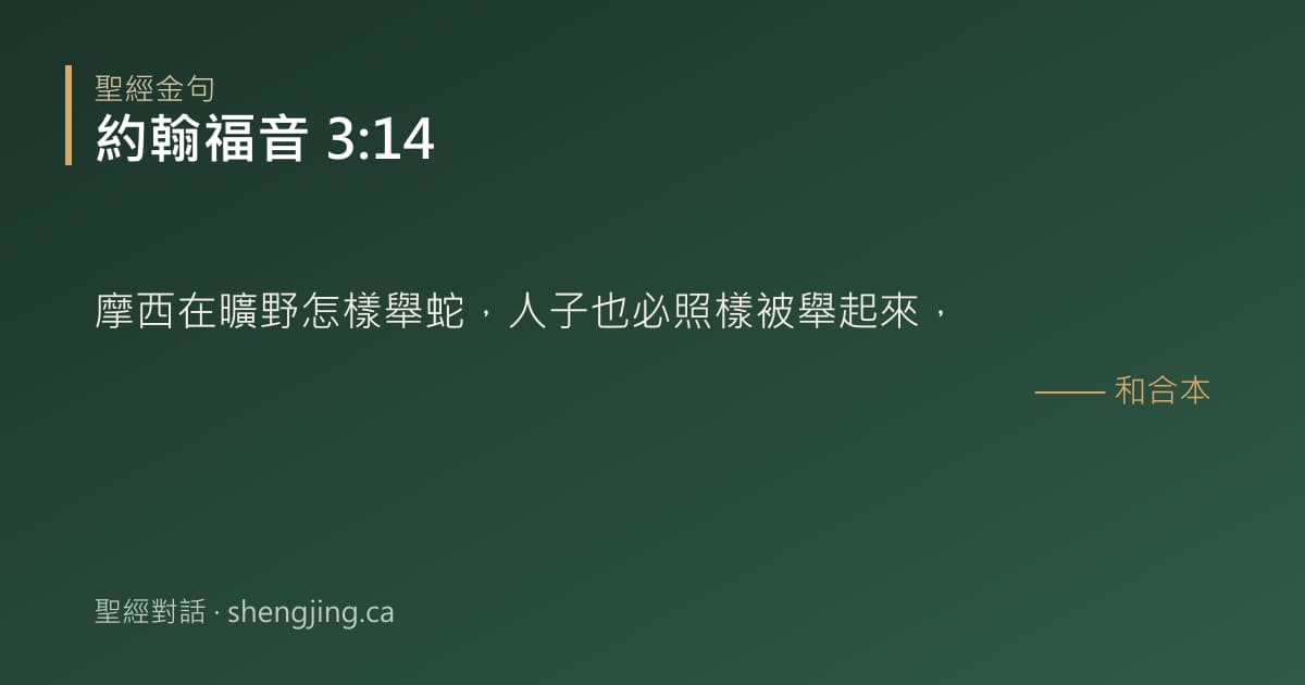 約翰福音 3:14 經文圖片:摩西在曠野怎樣舉蛇，人子也必照樣被舉起來，